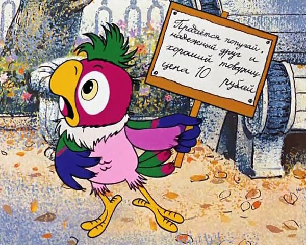 Попугай Кеша с табличкой