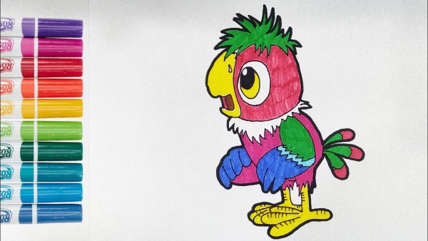 Возвращение блудного попугая 1984