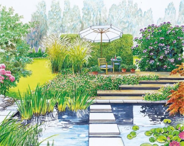 Эскиз композиции садового участка с водоемом