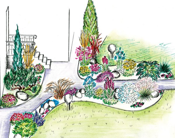 Скетчи миксбордеров