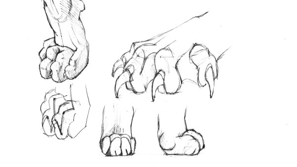 Кошачья лапа рисунок