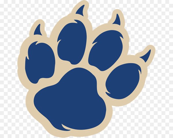 Отпечаток лапы тигра