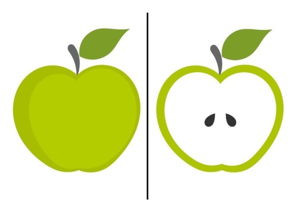 Яблоко в разрезе трафарет