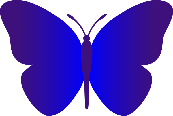 Силуэт бабочки цветной