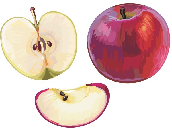 Долька яблока