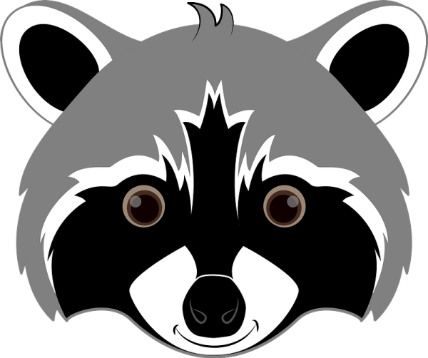 Нарисованная морда енота