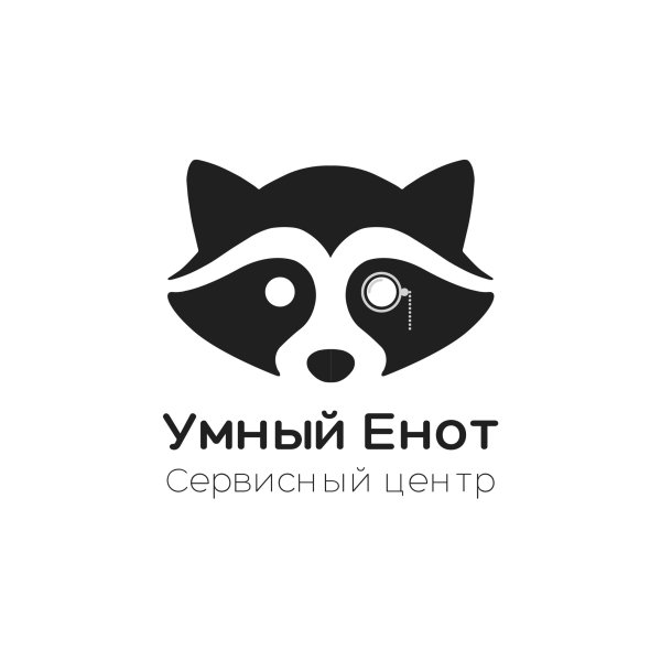 Умный енот