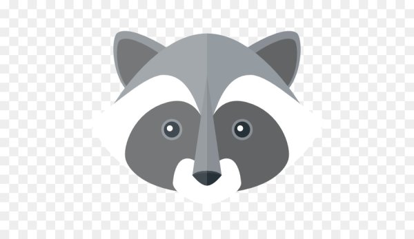 Голова енота