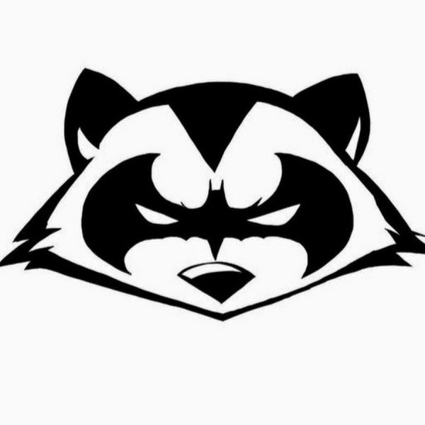 Контур морды енота