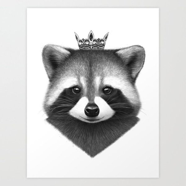 Крутой нарисованный енот