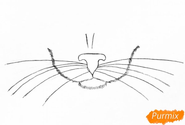 Кошачий нос зарисовки