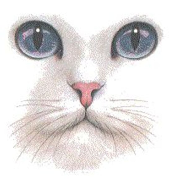 Кошачий нос