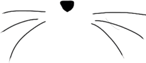 Кошачьи усики