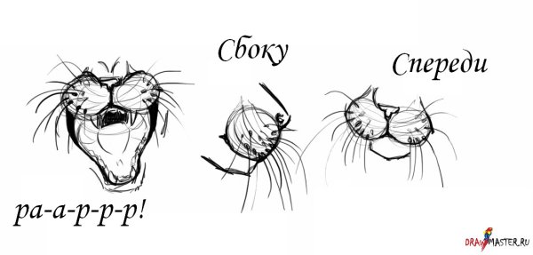 Нос кошки туториал