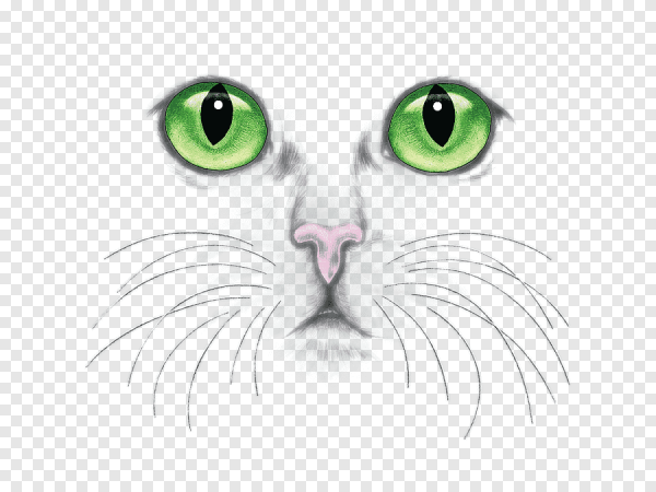 Мультяшный нос кота