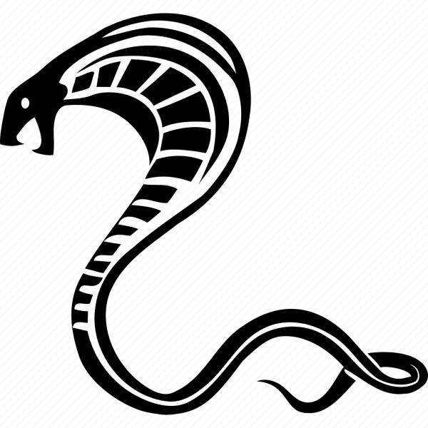 Силуэт змеи