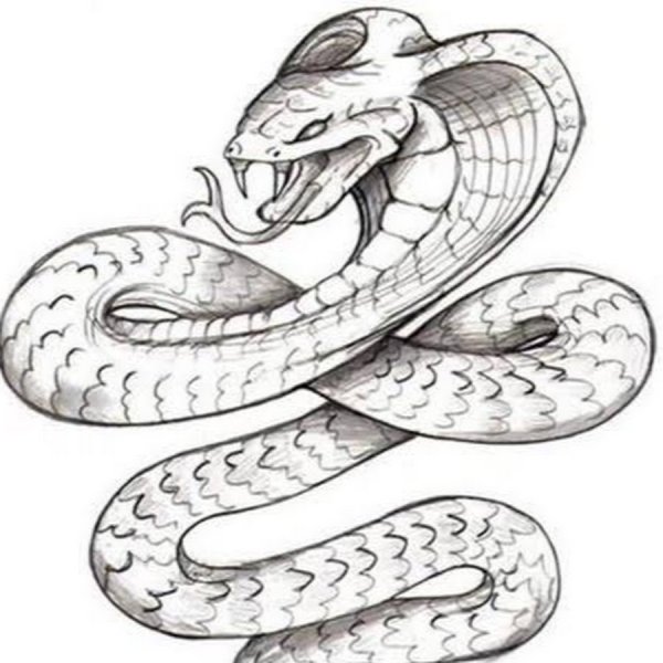 Змея карандашом для срисовки