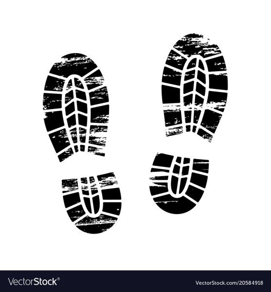 Следы тапочки криминалистический