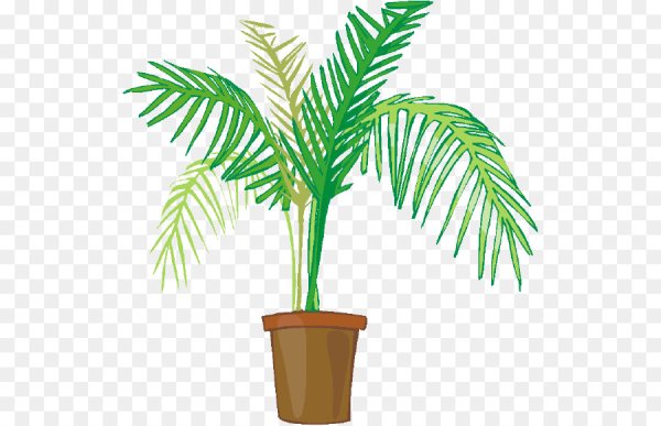 Нарисовать пальму в горшке