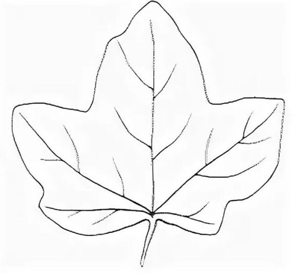 Лист тыквы раскраска