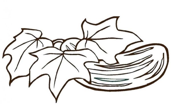 Лист тыквы раскраска