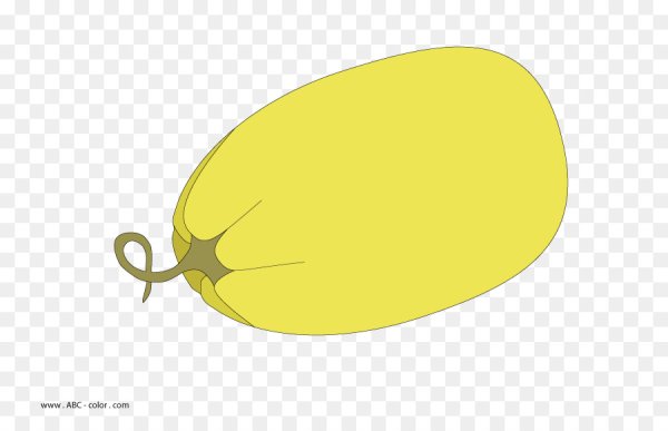 Кабачок цуккини листья