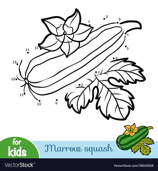 Кабачок атлас Ботанический