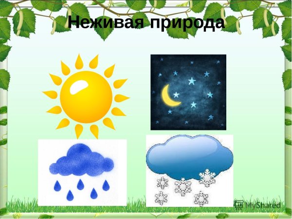 Неживая природа для детей