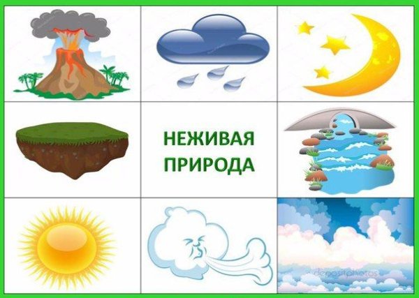 Живая и неживая природа для дошкольников