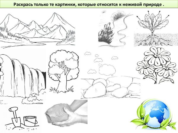 Неживая природа