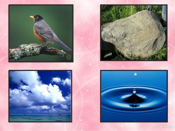 Живая и неживая природа