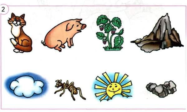 Четвертый лишний Живая и неживая природа