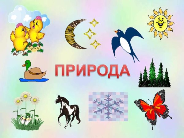 Что относится к неживой природе 1 класс