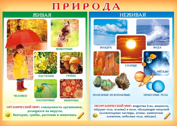 Живое неживое