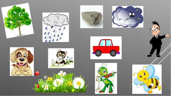 Живая и неживая природа задания