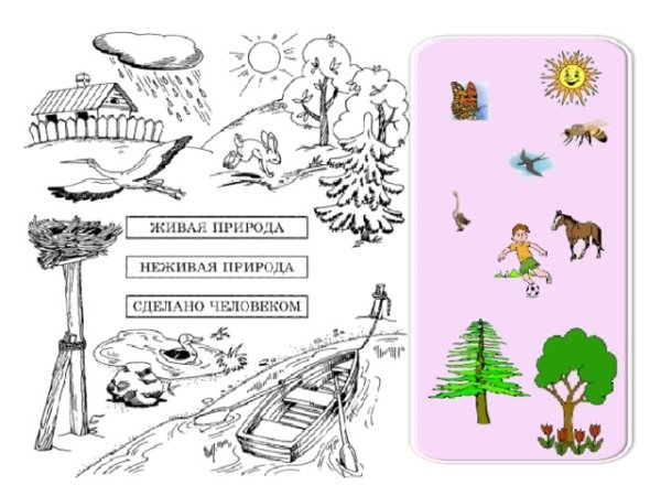 Живая и неживая природа