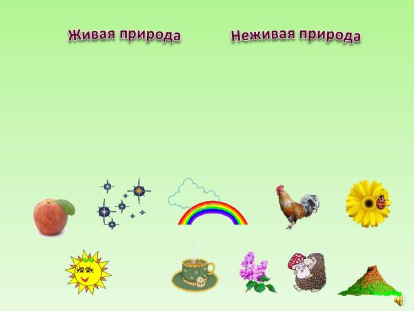 Живая природа рисунок