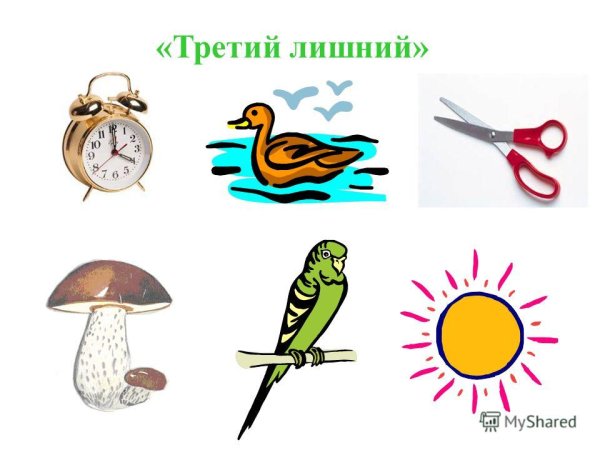 Живая и неживая природа