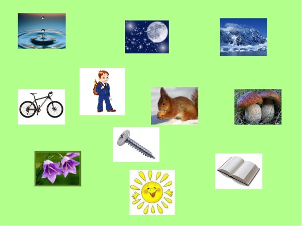 Рисунок живой и неживой природы 5 класс