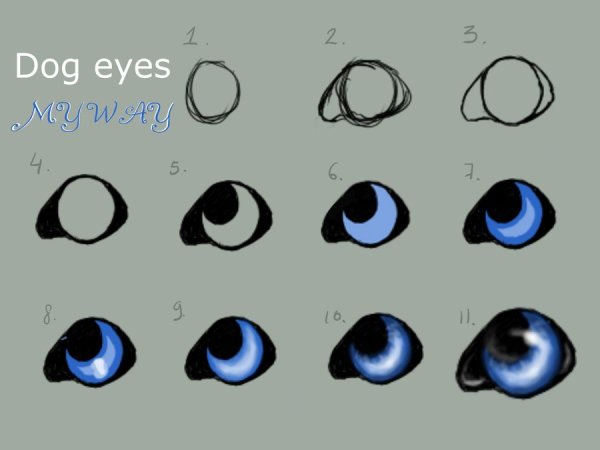 Собачий глаз акварель