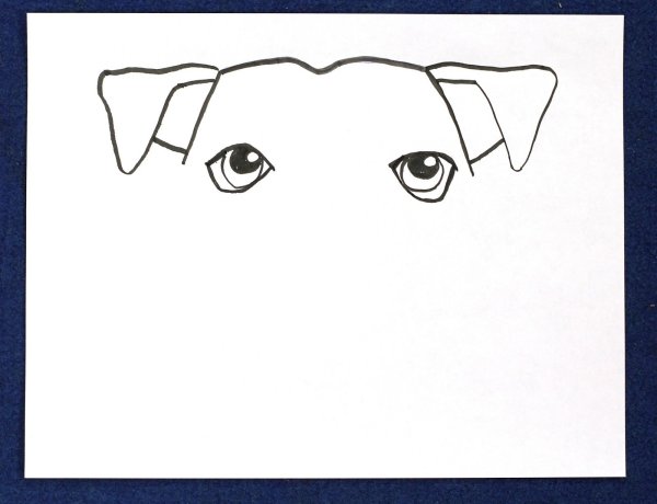 Собачьи глаза карандашом