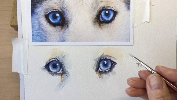 Глаза собаки акварелью