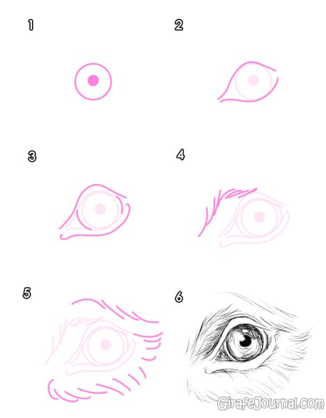 Собачьи глаза рисунок