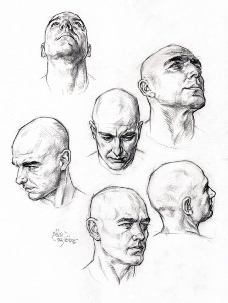 Голова снизу вверх референс