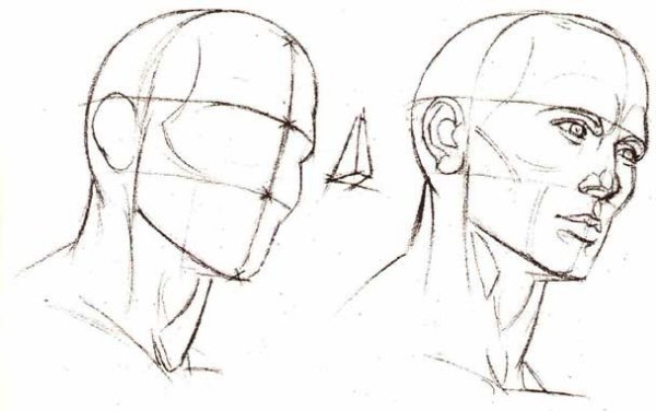 Портрет человека с наклоном головы