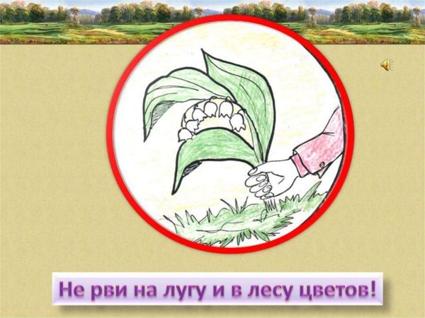 Охрана растений рисунок