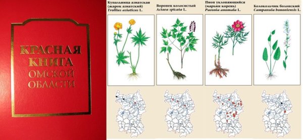 Растения и животные Омской области занесенные в красную книгу