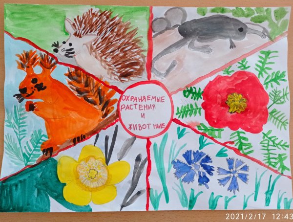 Конкурс экологических рисунков 2021