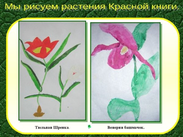 Берегите растения