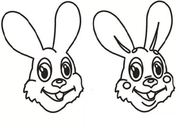 Мордочка зайки